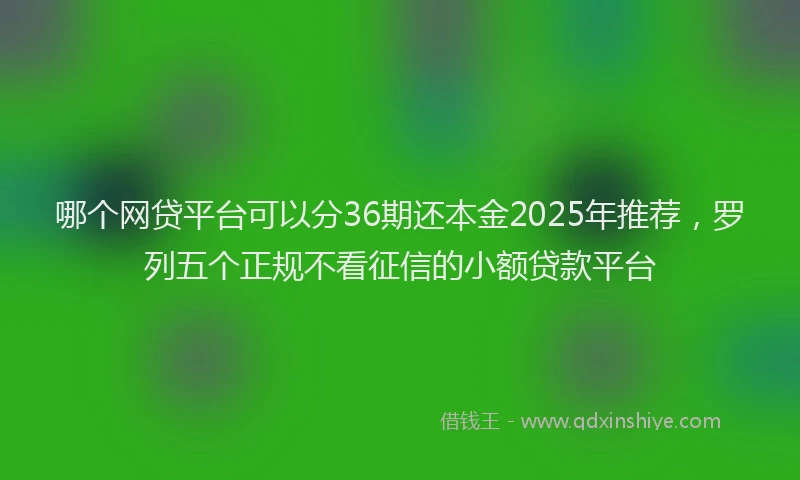 哪个网贷平台可以分36期还本金2025年推荐，罗列五个正规不看征信的小额贷款平台