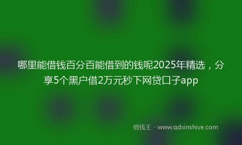 哪里能借钱百分百能借到的钱呢2025年精选，分享5个黑户借2万元秒下网贷口子app