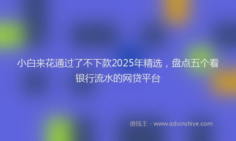 小白来花通过了不下款2025年精选，盘点五个看银行流水的网贷平台