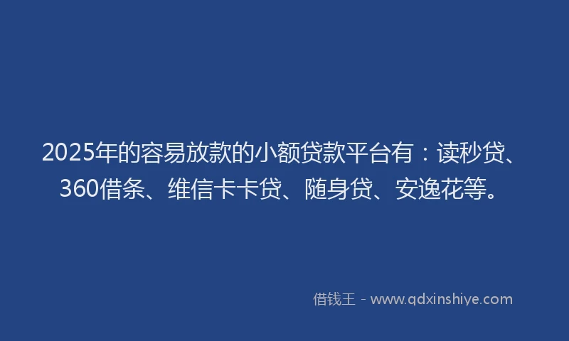 2025年的容易放款的小额贷款平台有：读秒贷、360借条、维信卡卡贷、随身贷、安逸花等。