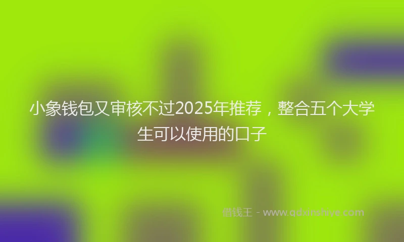 小象钱包又审核不过2025年推荐，整合五个大学生可以使用的口子