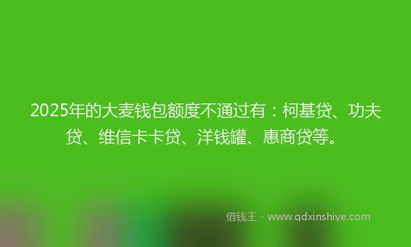 2025年的大麦钱包额度不通过有：柯基贷、功夫贷、维信卡卡贷、洋钱罐、惠商贷等。