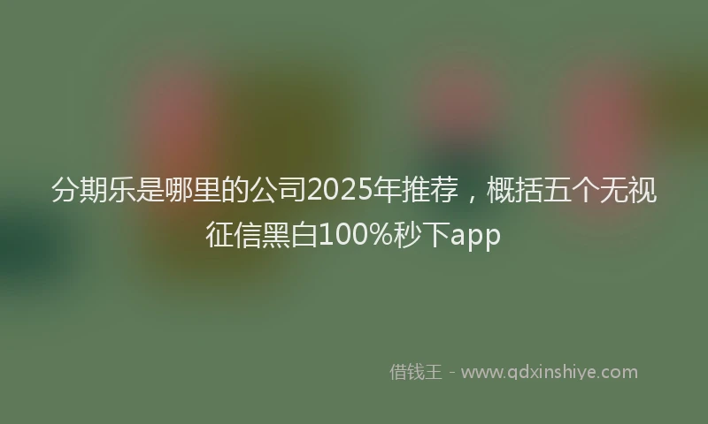 分期乐是哪里的公司2025年推荐，概括五个无视征信黑白100%秒下app