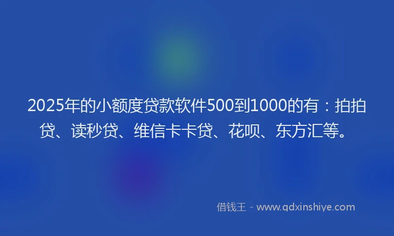 2025年的小额度贷款软件500到1000的有：拍拍贷、读秒贷、维信卡卡贷、花呗、东方汇等。