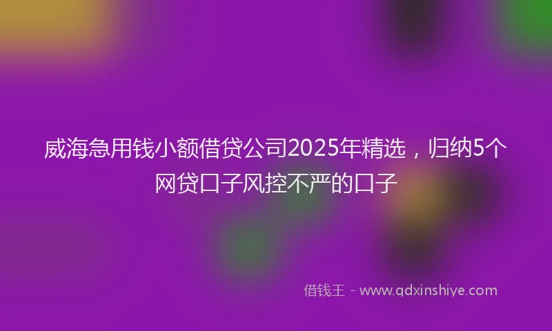 威海急用钱小额借贷公司2025年精选，归纳5个网贷口子风控不严的口子