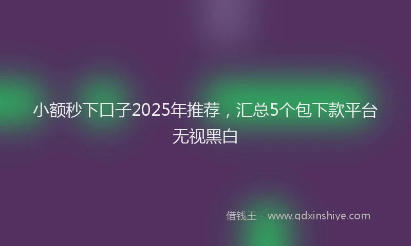 小额秒下口子2025年推荐，汇总5个包下款平台无视黑白