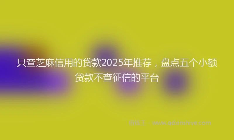 只查芝麻信用的贷款2025年推荐，盘点五个小额贷款不查征信的平台
