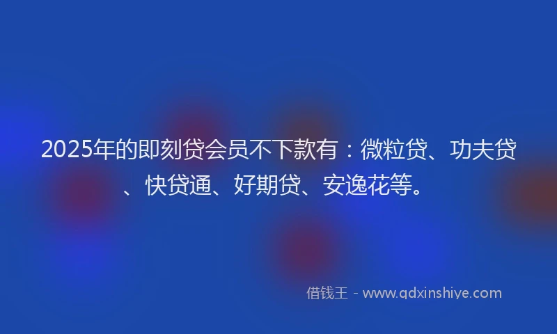 2025年的即刻贷会员不下款有：微粒贷、功夫贷、快贷通、好期贷、安逸花等。