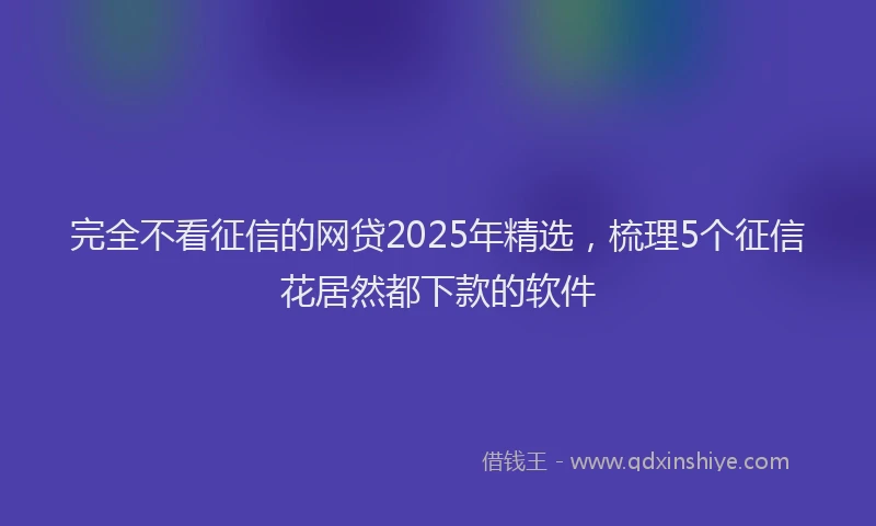 完全不看征信的网贷2025年精选，梳理5个征信花居然都下款的软件