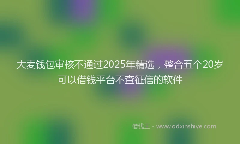 大麦钱包审核不通过2025年精选，整合五个20岁可以借钱平台不查征信的软件