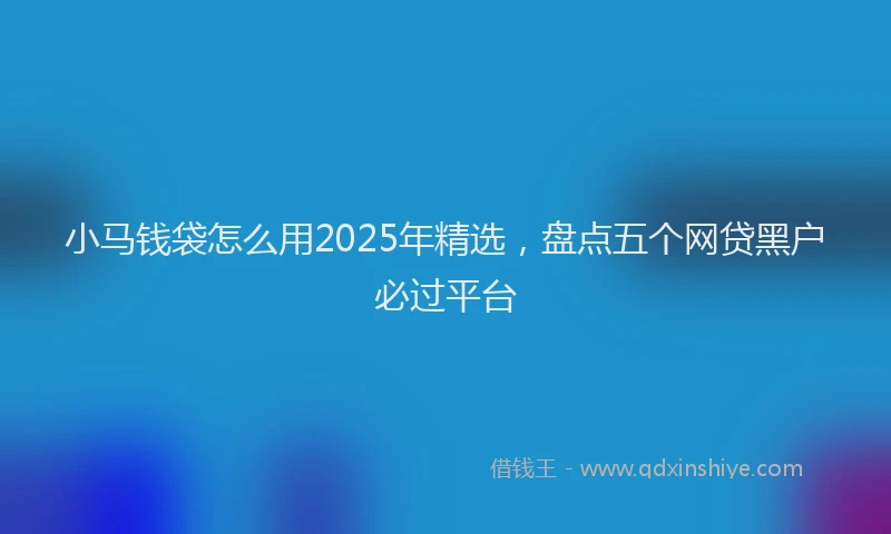 小马钱袋怎么用2025年精选，盘点五个网贷黑户必过平台