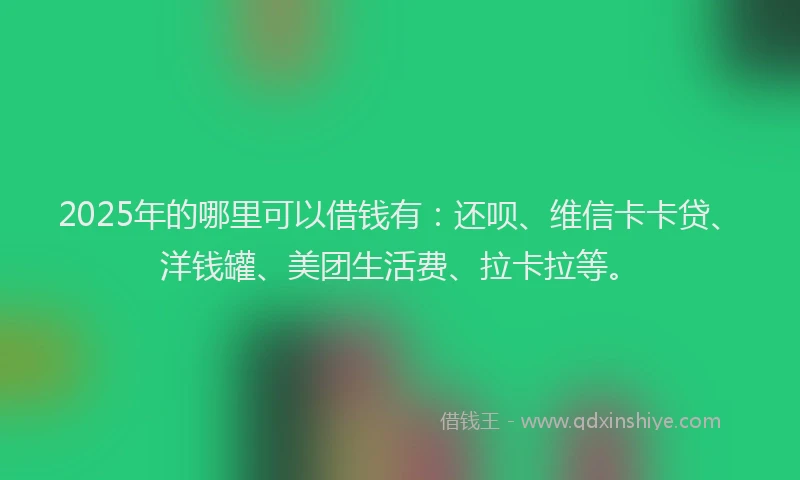 2025年的哪里可以借钱有：还呗、维信卡卡贷、洋钱罐、美团生活费、拉卡拉等。