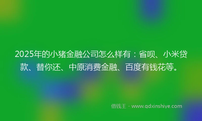 2025年的小猪金融公司怎么样有：省呗、小米贷款、替你还、中原消费金融、百度有钱花等。