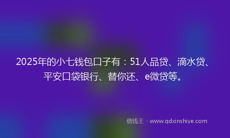 2025年的小七钱包口子有：51人品贷、滴水贷、平安口袋银行、替你还、e微贷等。