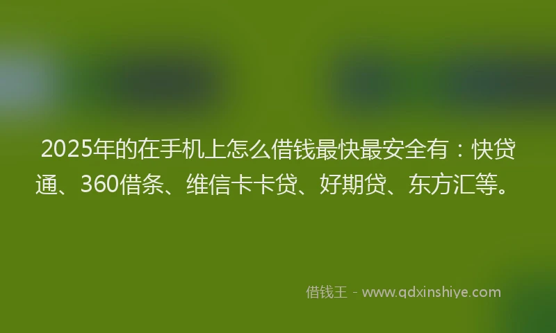2025年的在手机上怎么借钱最快最安全有：快贷通、360借条、维信卡卡贷、好期贷、东方汇等。