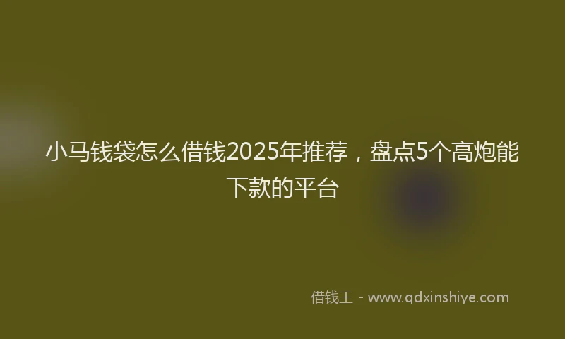 小马钱袋怎么借钱2025年推荐，盘点5个高炮能下款的平台