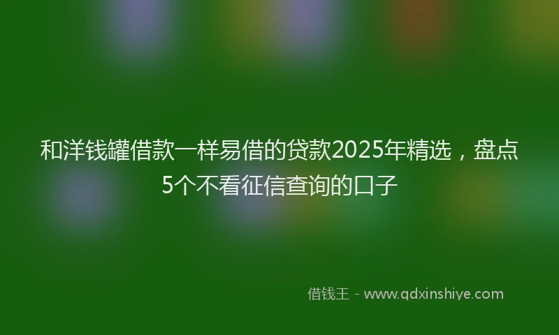 和洋钱罐借款一样易借的贷款2025年精选，盘点5个不看征信查询的口子