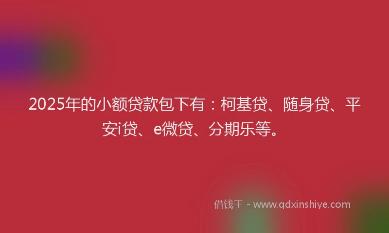 2025年的小额贷款包下有：柯基贷、随身贷、平安i贷、e微贷、分期乐等。