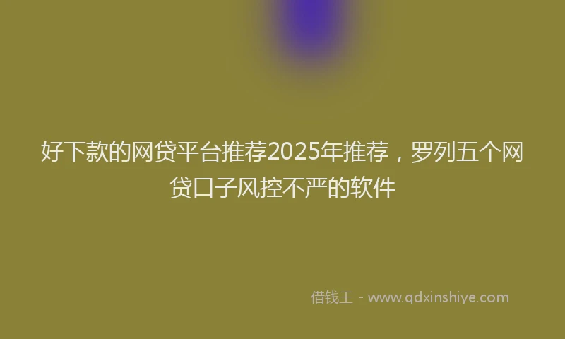 好下款的网贷平台推荐2025年推荐，罗列五个网贷口子风控不严的软件