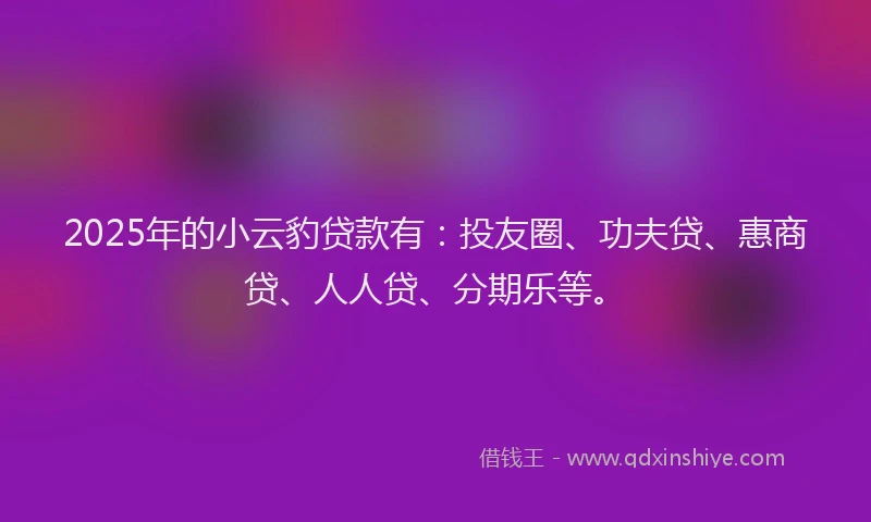 2025年的小云豹贷款有：投友圈、功夫贷、惠商贷、人人贷、分期乐等。