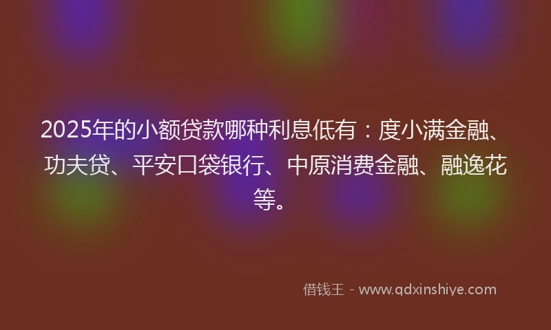 2025年的小额贷款哪种利息低有：度小满金融、功夫贷、平安口袋银行、中原消费金融、融逸花等。
