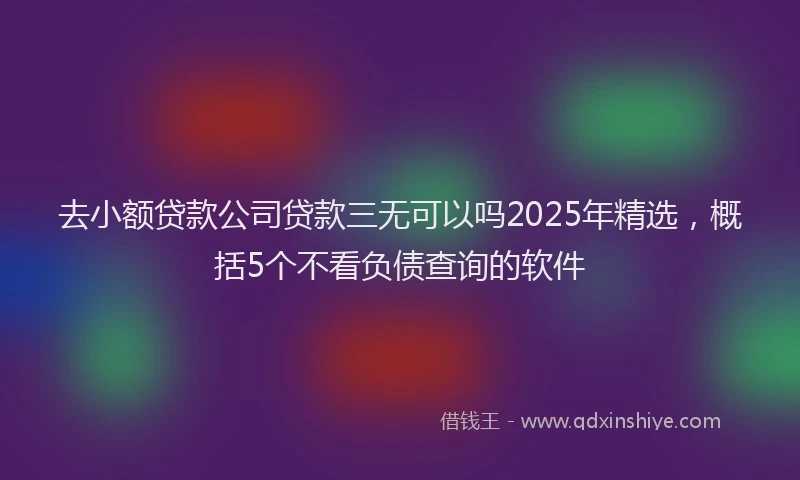 去小额贷款公司贷款三无可以吗2025年精选，概括5个不看负债查询的软件