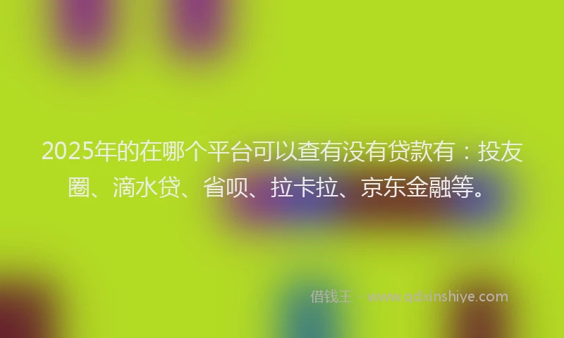 2025年的在哪个平台可以查有没有贷款有：投友圈、滴水贷、省呗、拉卡拉、京东金融等。