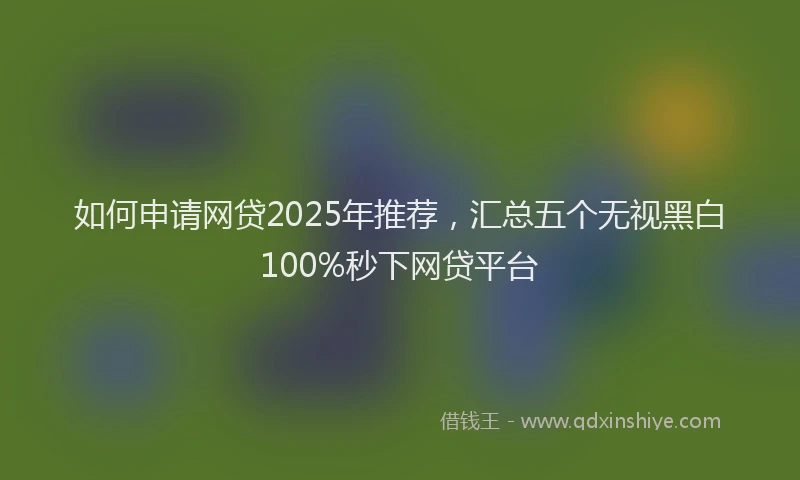如何申请网贷2025年推荐，汇总五个无视黑白100%秒下网贷平台