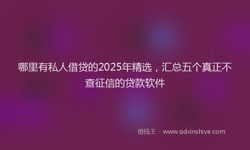哪里有私人借贷的2025年精选，汇总五个真正不查征信的贷款软件