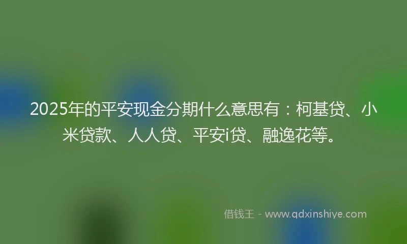 2025年的平安现金分期什么意思有：柯基贷、小米贷款、人人贷、平安i贷、融逸花等。