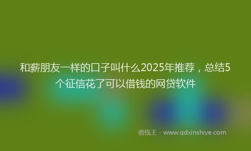 和薪朋友一样的口子叫什么2025年推荐，总结5个征信花了可以借钱的网贷软件