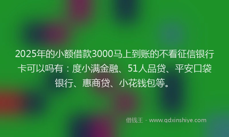 2025年的小额借款3000马上到账的不看征信银行卡可以吗有：度小满金融、51人品贷、平安口袋银行、惠商贷、小花钱包等。