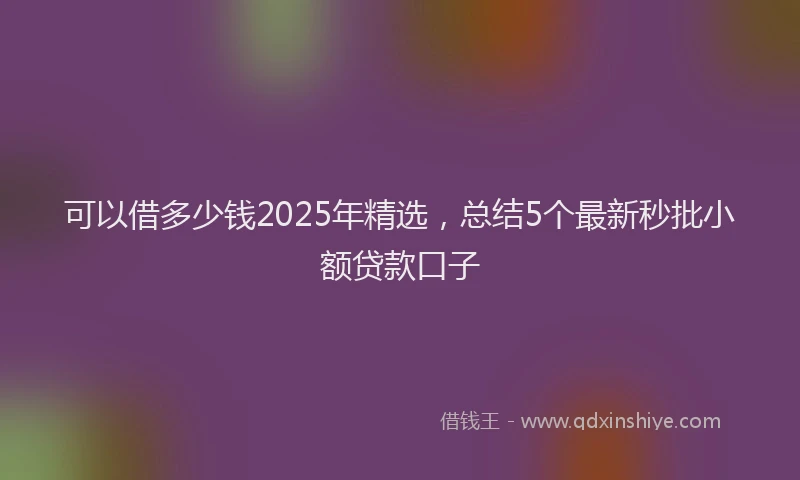 可以借多少钱2025年精选，总结5个最新秒批小额贷款口子