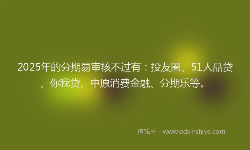 2025年的分期易审核不过有：投友圈、51人品贷、你我贷、中原消费金融、分期乐等。