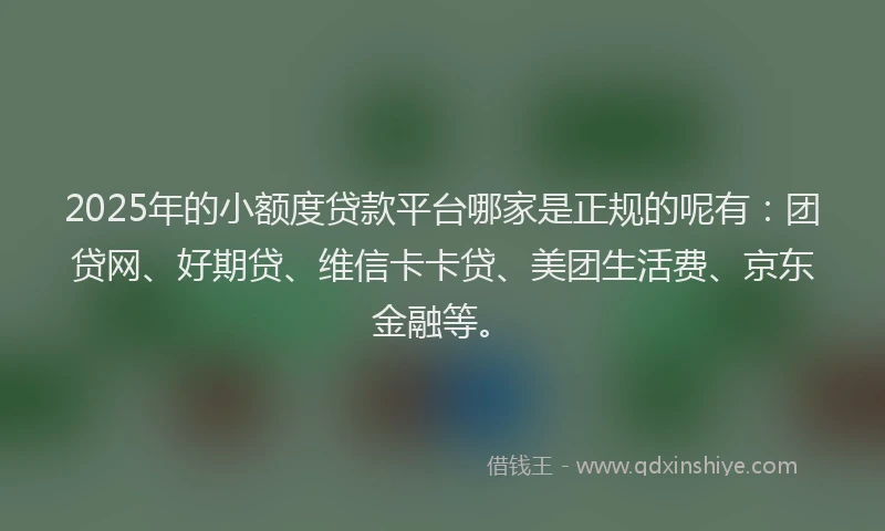 2025年的小额度贷款平台哪家是正规的呢有：团贷网、好期贷、维信卡卡贷、美团生活费、京东金融等。
