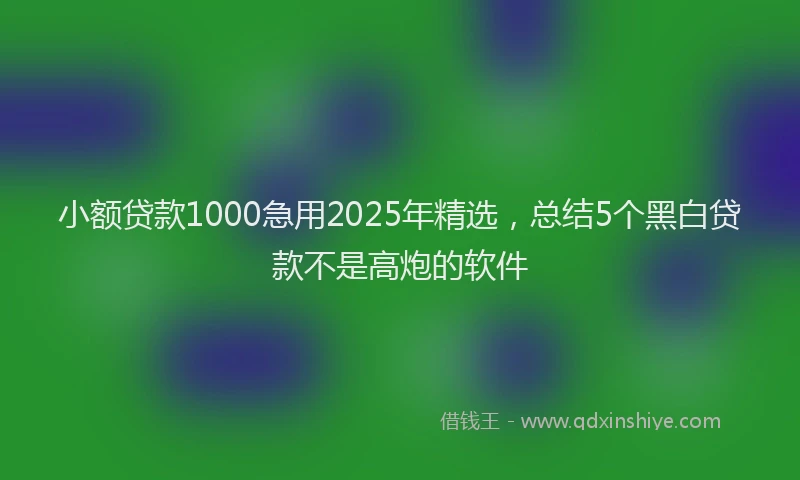 小额贷款1000急用2025年精选，总结5个黑白贷款不是高炮的软件