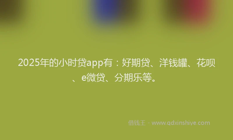 2025年的小时贷app有：好期贷、洋钱罐、花呗、e微贷、分期乐等。