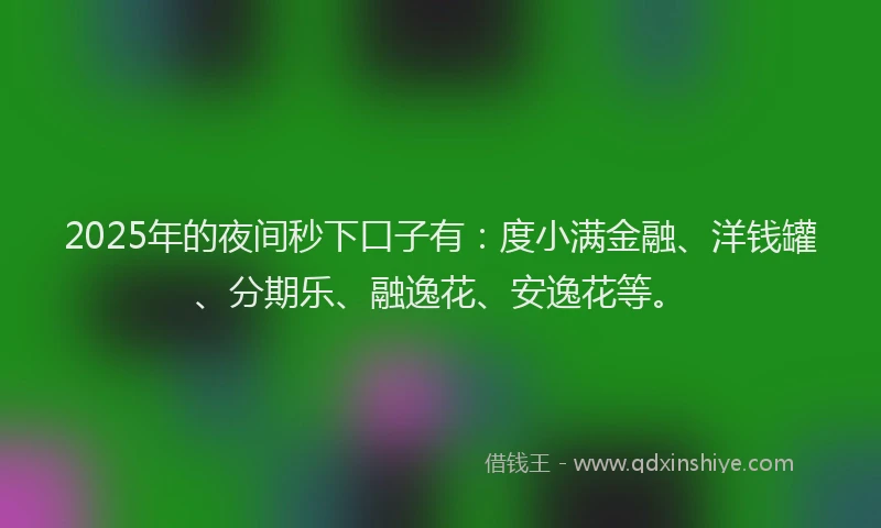 2025年的夜间秒下口子有：度小满金融、洋钱罐、分期乐、融逸花、安逸花等。