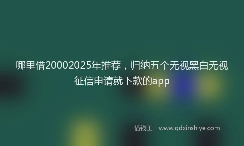 哪里借20002025年推荐，归纳五个无视黑白无视征信申请就下款的app