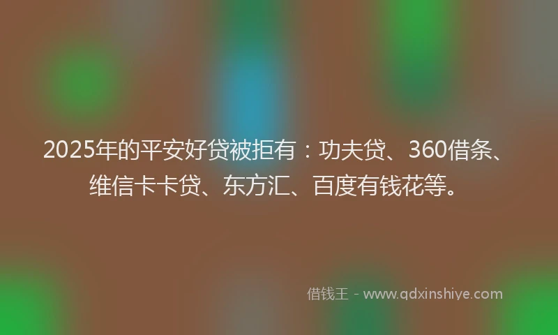 2025年的平安好贷被拒有：功夫贷、360借条、维信卡卡贷、东方汇、百度有钱花等。