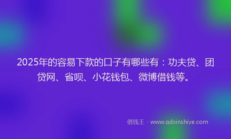 2025年的容易下款的口子有哪些有：功夫贷、团贷网、省呗、小花钱包、微博借钱等。