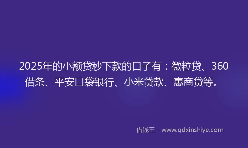 2025年的小额贷秒下款的口子有：微粒贷、360借条、平安口袋银行、小米贷款、惠商贷等。