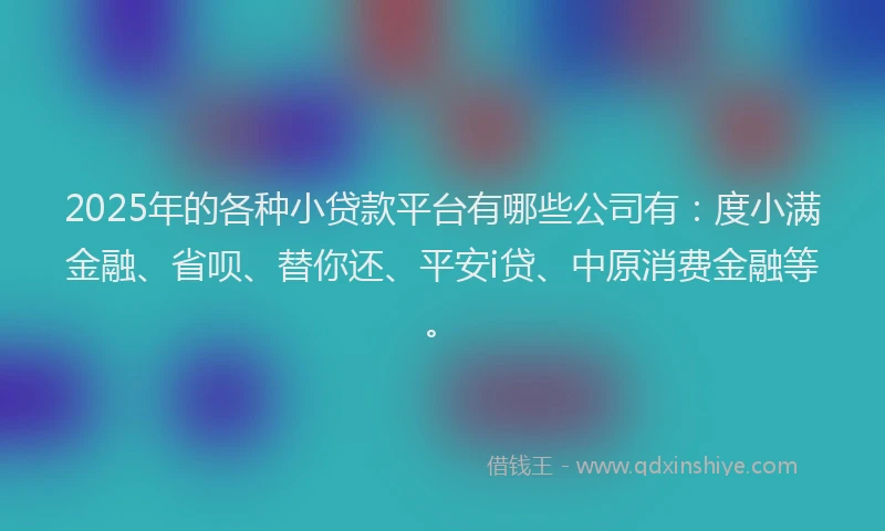 2025年的各种小贷款平台有哪些公司有：度小满金融、省呗、替你还、平安i贷、中原消费金融等。
