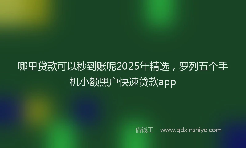 哪里贷款可以秒到账呢2025年精选，罗列五个手机小额黑户快速贷款app
