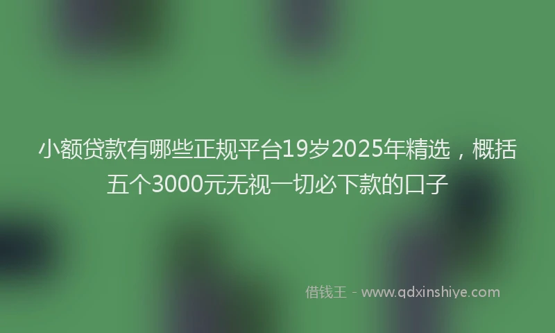 小额贷款有哪些正规平台19岁2025年精选，概括五个3000元无视一切必下款的口子