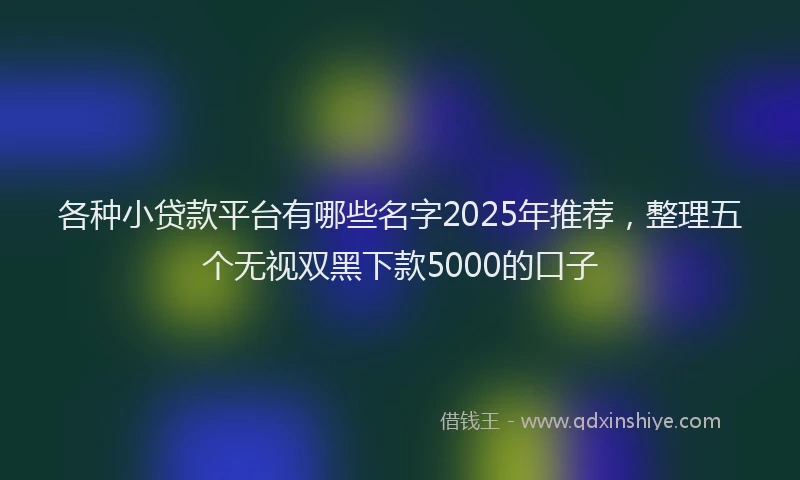 各种小贷款平台有哪些名字2025年推荐，整理五个无视双黑下款5000的口子