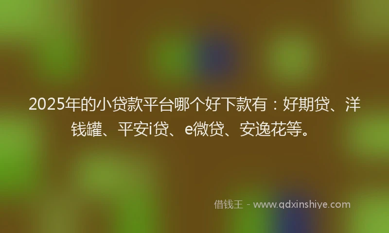2025年的小贷款平台哪个好下款有：好期贷、洋钱罐、平安i贷、e微贷、安逸花等。