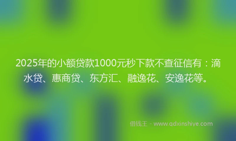 2025年的小额贷款1000元秒下款不查征信有：滴水贷、惠商贷、东方汇、融逸花、安逸花等。