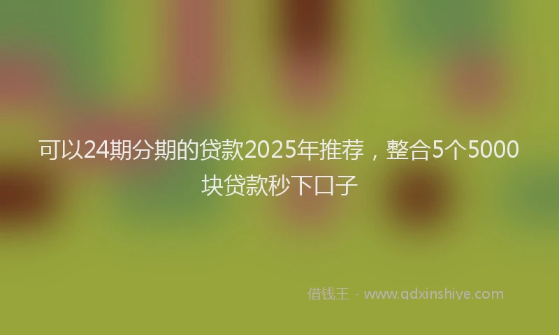 可以24期分期的贷款2025年推荐，整合5个5000块贷款秒下口子