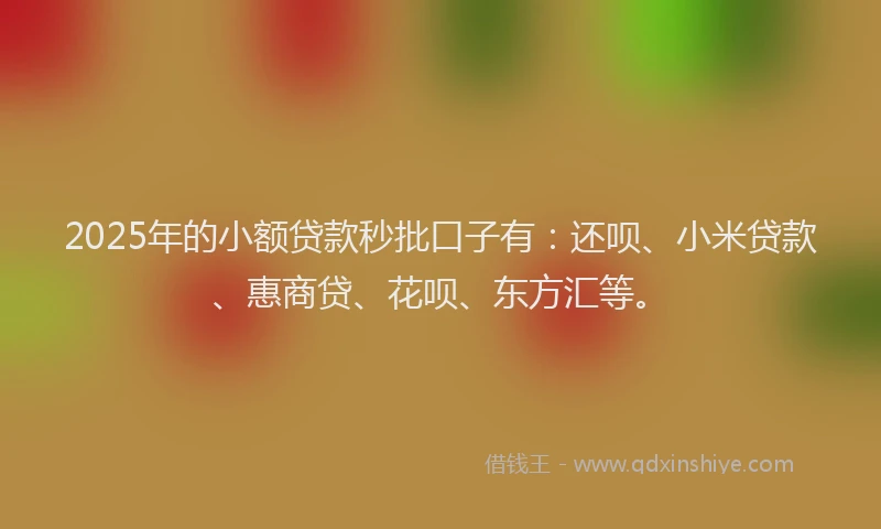 2025年的小额贷款秒批口子有：还呗、小米贷款、惠商贷、花呗、东方汇等。